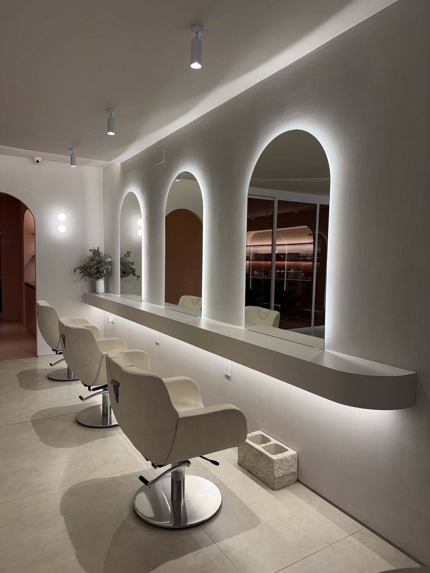 Interior del salón Fina Guiseris